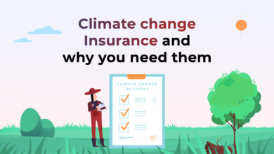 Climate Change Insurance: Why You Need Them  